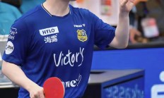 米兰体育app入口-奥地利队险胜波兰队，樊振东状态火热的简单介绍