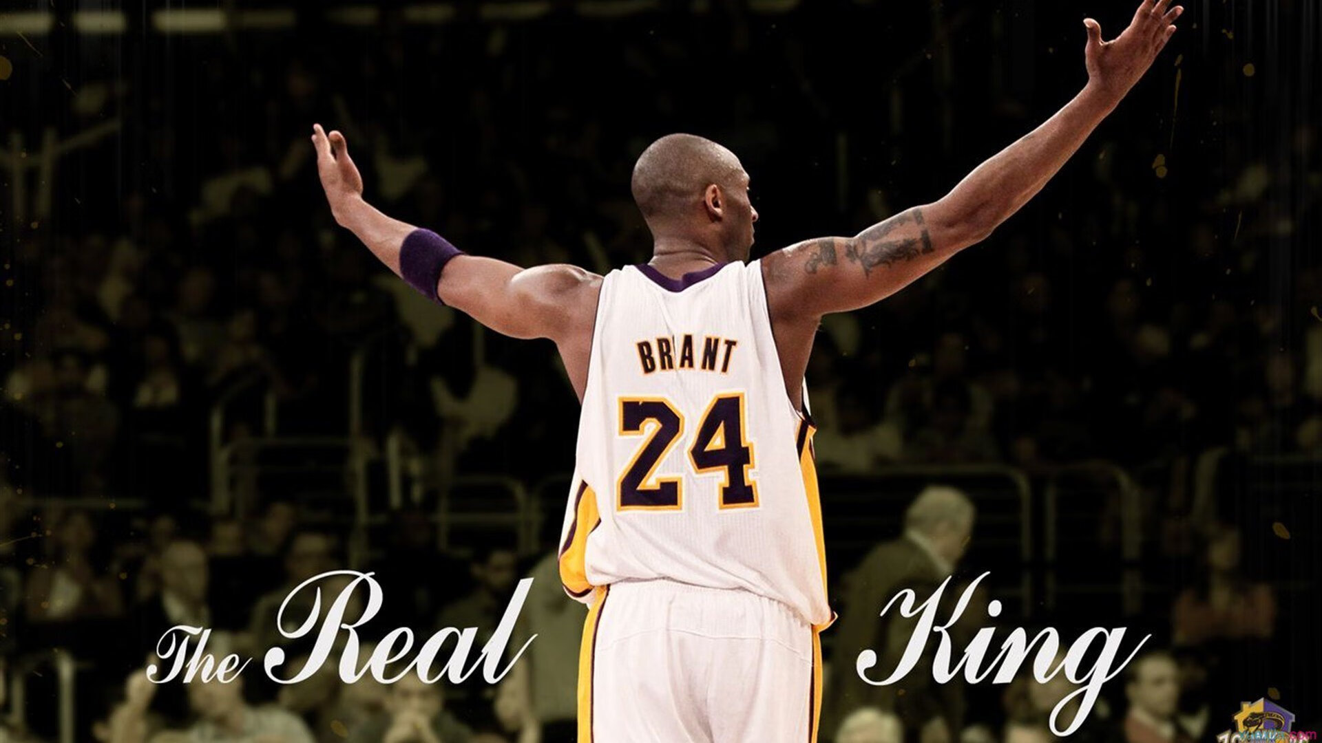 法网横扫后的国家荣耀，西西帕斯领军希腊队戴维斯杯历史性突破