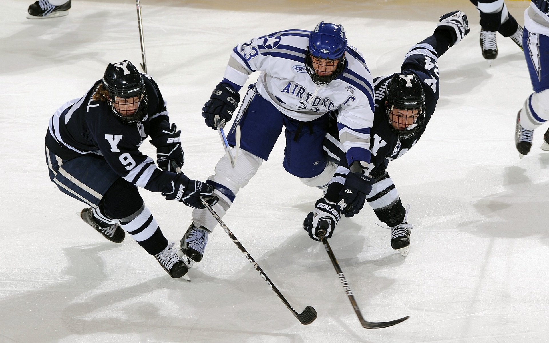 横扫维也纳,张继科领衔中国乒乓球队力克奥地利队