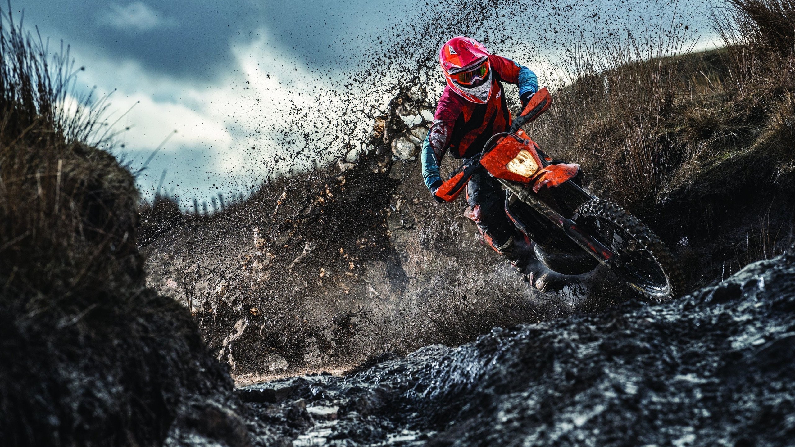 戴维斯杯，远比澳网更像辛纳的封神台，一场关于荣耀与统治力的终极答案